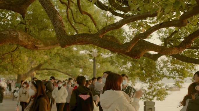 傍晚西湖日落游客4K