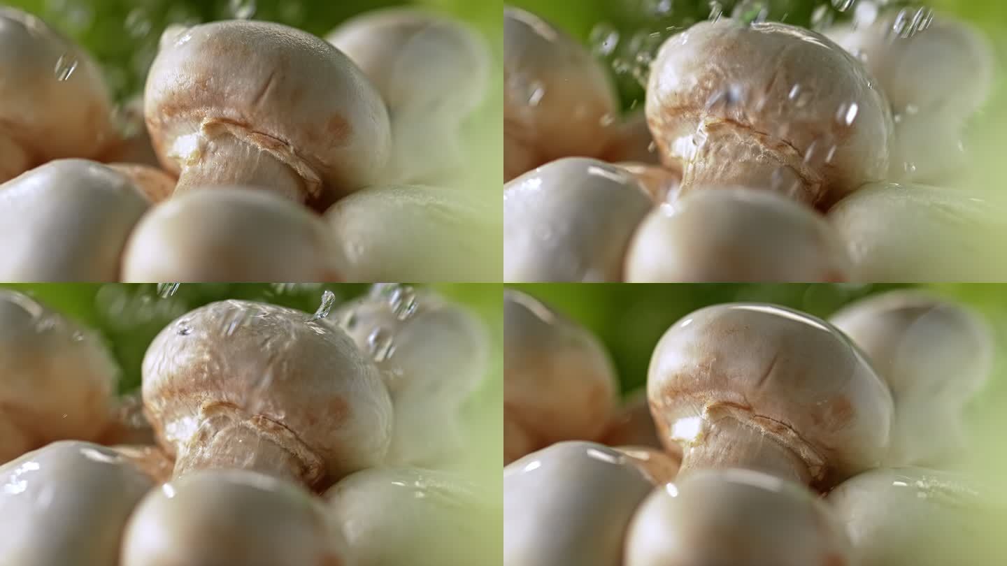 SLO MO LD水浇在白蘑菇上