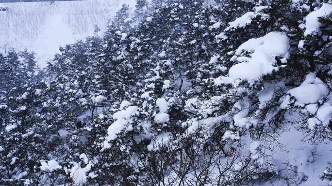 冬季大雪封山雪景唯美雾凇自然风光