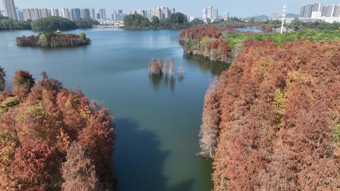 深圳坪山大山陂水库