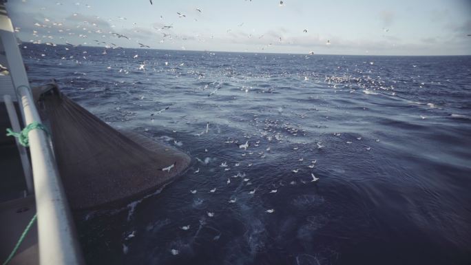 渔船拖网渔船：捕获大量鱼类