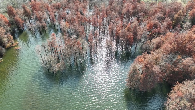 深圳坪山大山陂水库