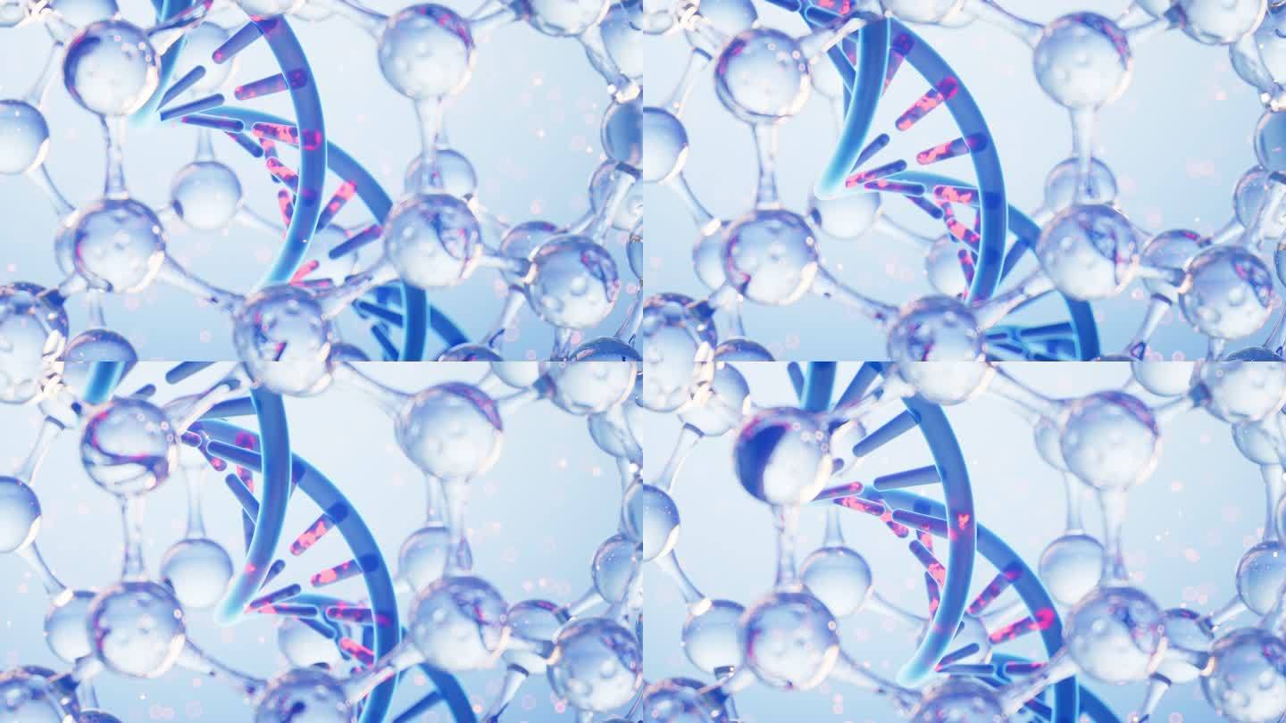球形分子中的DNA3D渲染