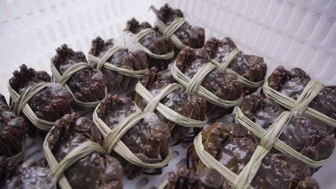 大闸蟹排列整齐装箱快递冷链展示分镜