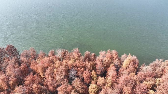 深圳坪山大山陂水库