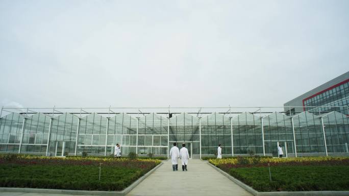 智慧农业大棚种植试验蔬菜玉米农业研究基地