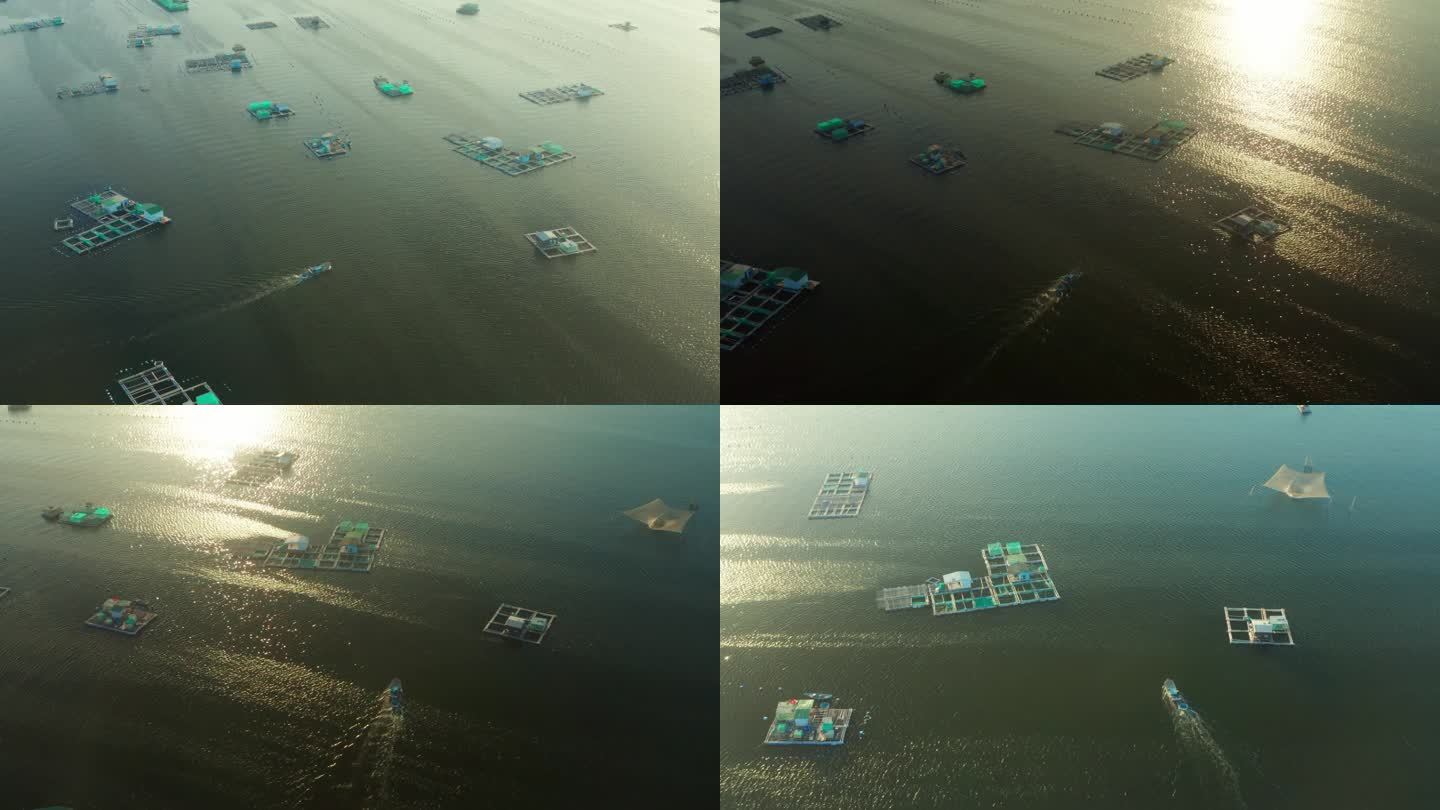 Cam Ranh海滩上养鱼场和龙虾场的无人机视图
