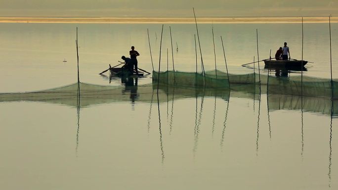 高清4K拍摄黄河河道捕鱼黄河滩涂