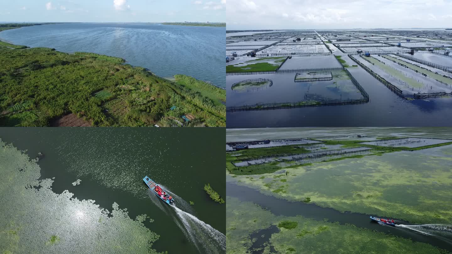 阳澄湖大闸蟹养殖场捞蟹船生态环境空镜集合