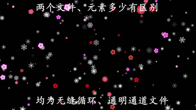 梅花飘雪飘落无缝循环透明通道1080P