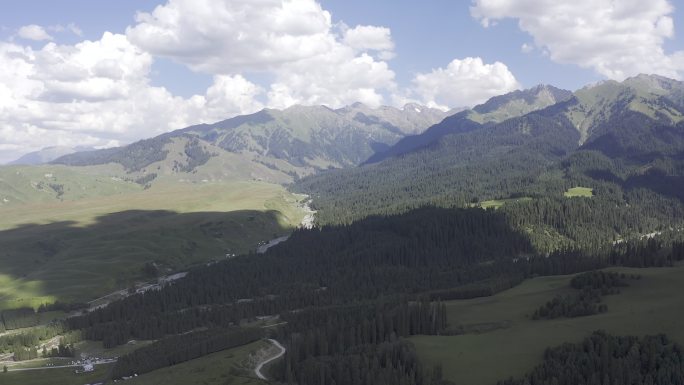 新疆恰西森林公园航拍 高山草甸 草原