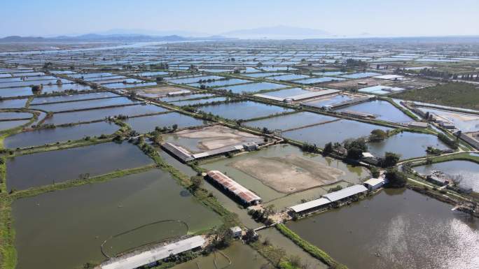 南方鱼塘养殖场大规模养殖农村风景航拍