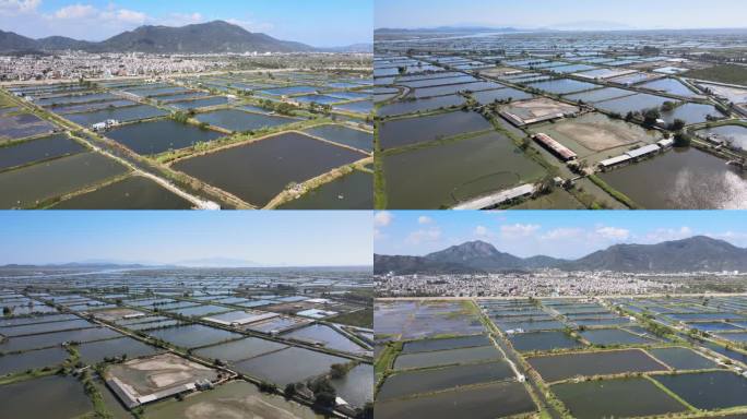 南方鱼塘养殖场大规模养殖农村风景航拍