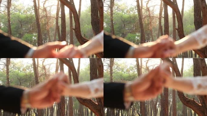 相爱的情侣手牵手，背景是森林图像，从底部拍摄