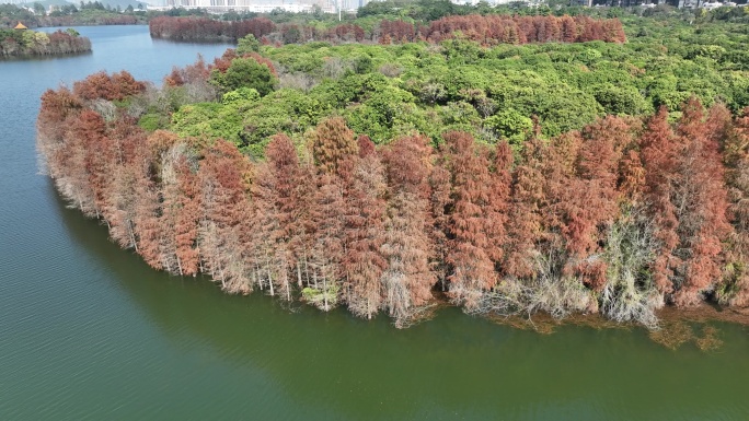 深圳坪山大山陂水库