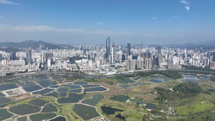 香港拍深圳