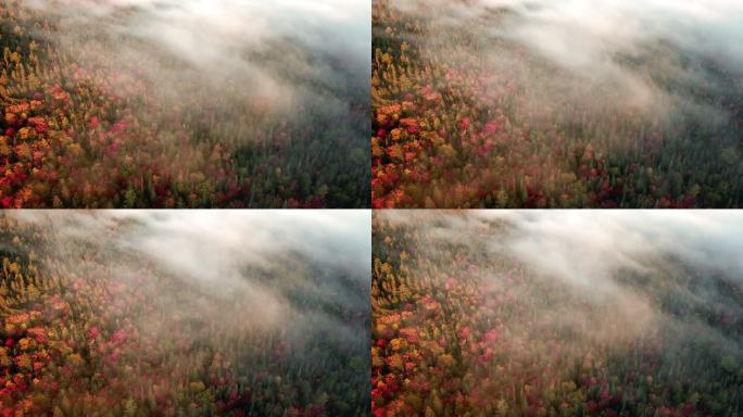 加拿大魁北克，秋天，美丽的日出，雾卷山