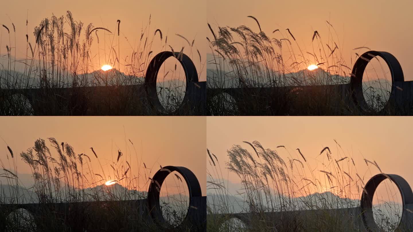 夕阳日落山边芦苇随风摇曳金色天空