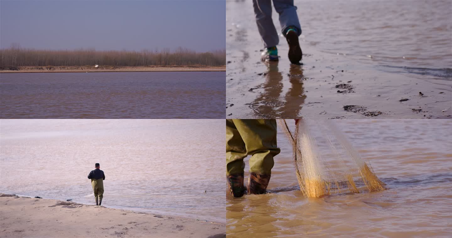 撒网 水边玩耍 湿地沙滩鸟群 飞鸟