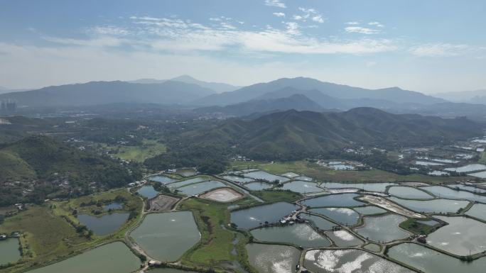 河套片区