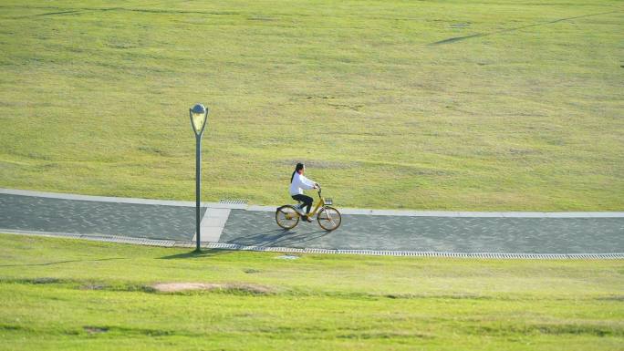 【4K】唯美绿道骑自行车深圳湾公园