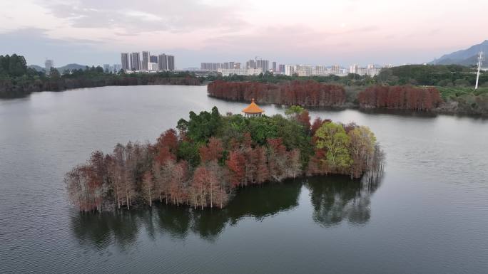 大山陂水库