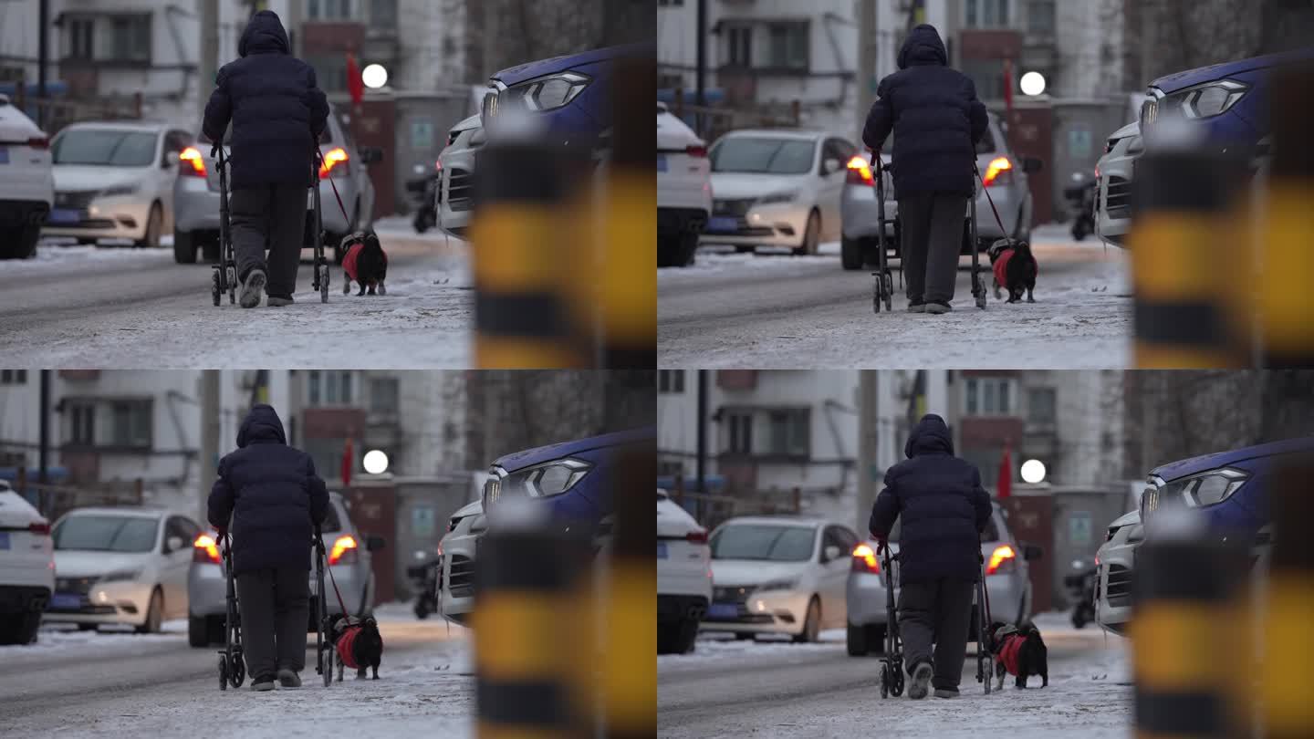 老人和狗在冰天雪地里孤独走路的背影