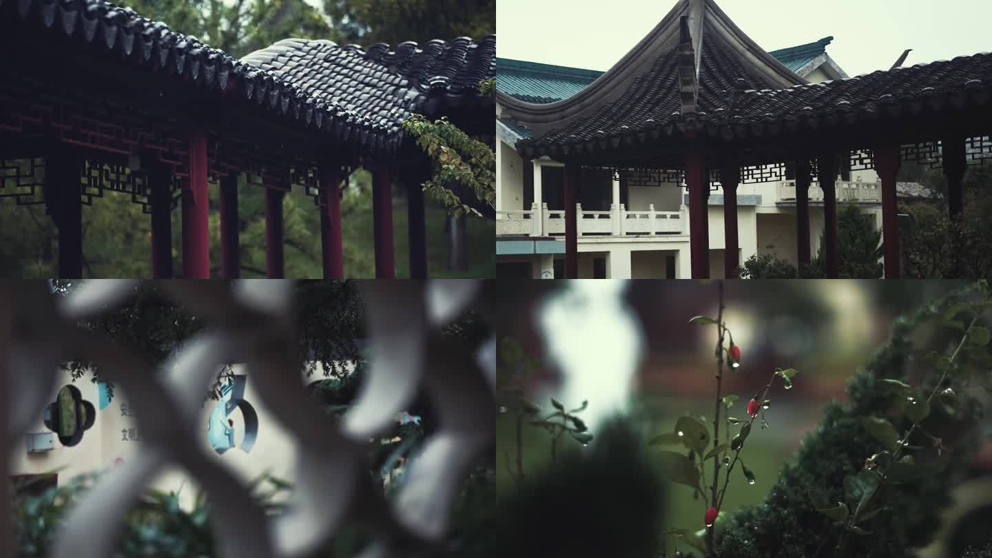 江南公园雨景意境实拍