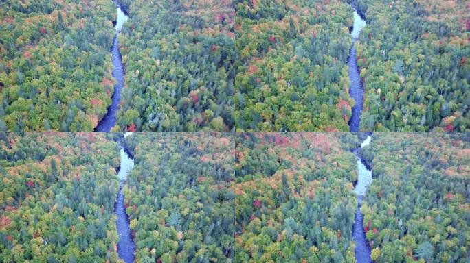 加拿大魁北克省日出处的秋日特伦布兰特山公园鸟瞰图
