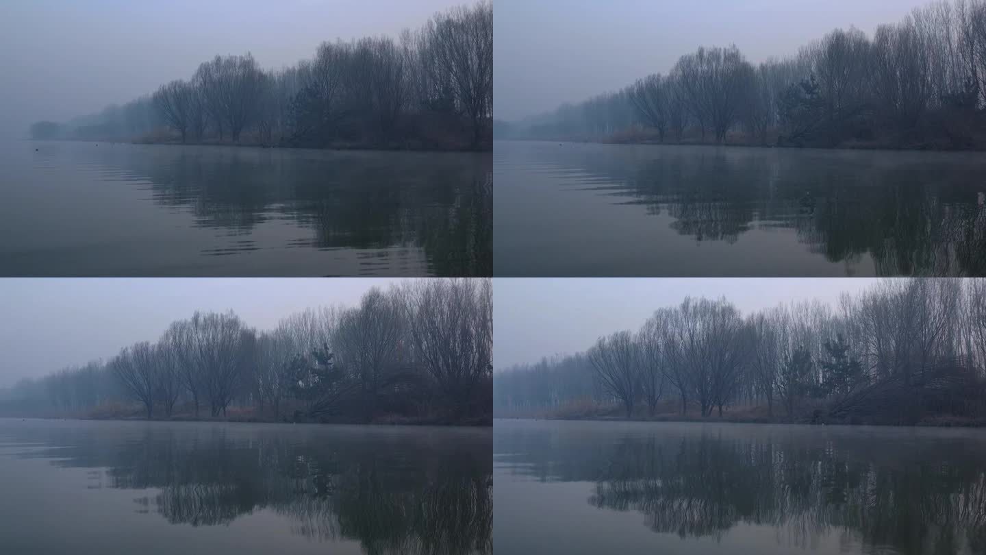 清晨白浪河的雾气