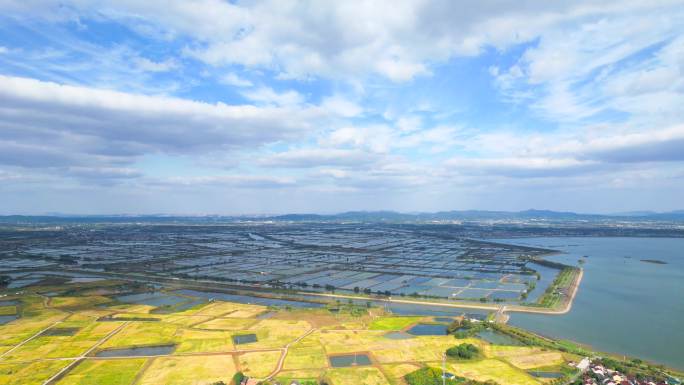 全面小康 乡村振兴 水产养殖