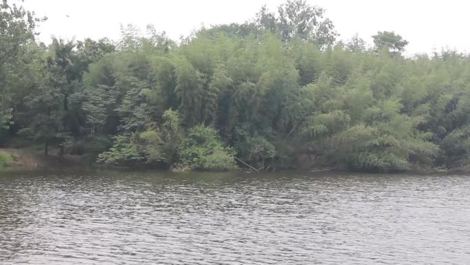 河边风景池塘湖边