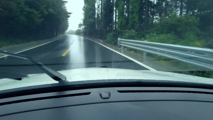 驾驶员在雨中查看森林道路