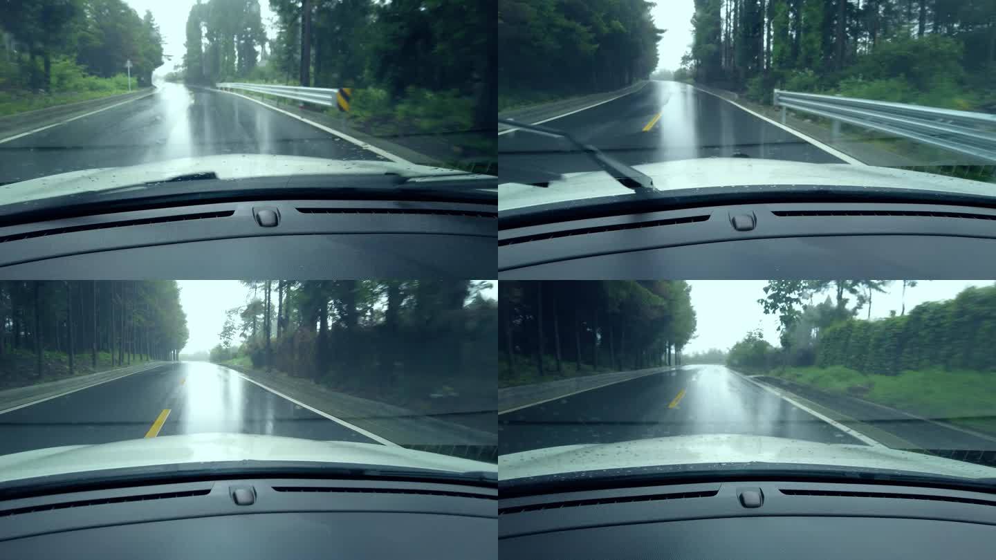 驾驶员在雨中查看森林道路