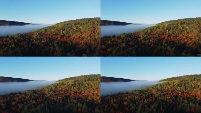 在多云的日出中，鸟瞰无人机全景加拿大风景。