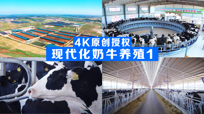 现代化奶牛养殖场基地自动化奶牛产业园区