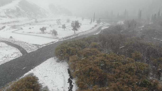 新疆南疆北疆 大雪天航拍 路上丛林 大景