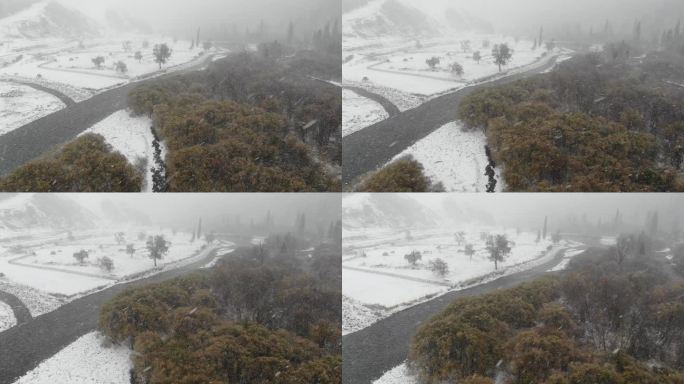 新疆南疆北疆 大雪天航拍 路上丛林 大景