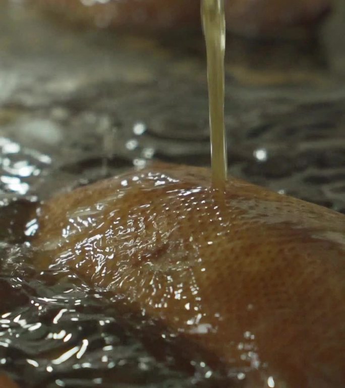 狮头鹅卤鹅工厂滴油淋汁卤汁生产过程分镜