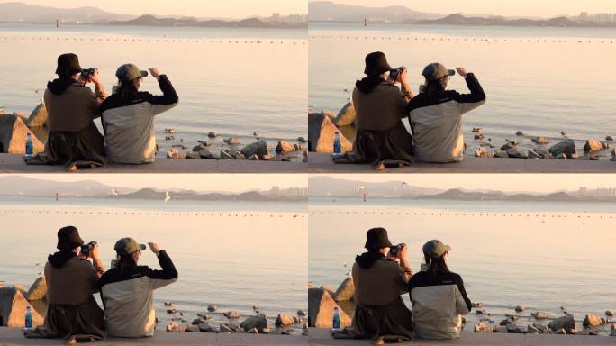 【4K】情侣海边日落看海鸥