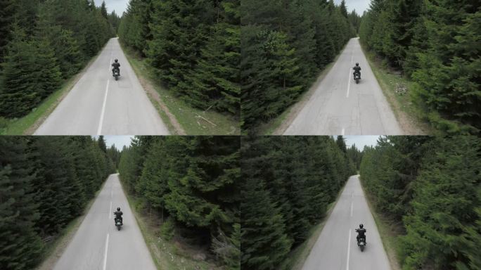 男子骑摩托车上路摩托车潇洒骑行松树森林公
