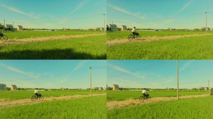 4k 自行车骑在田间地头
