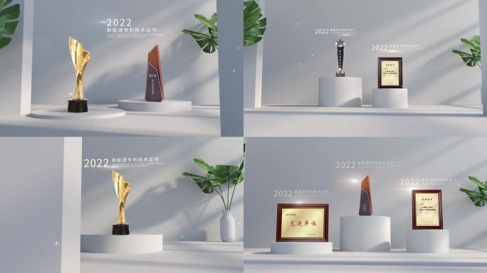 异形奖杯证书包装