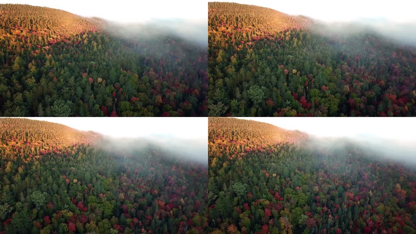 美丽的空中全景，在色彩斑斓的日出中被雾笼罩。