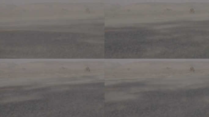 新疆 沙尘天气 流动的风沙 车轮