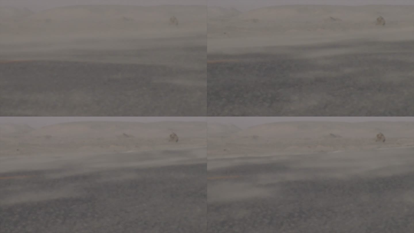 新疆 沙尘天气 流动的风沙 车轮