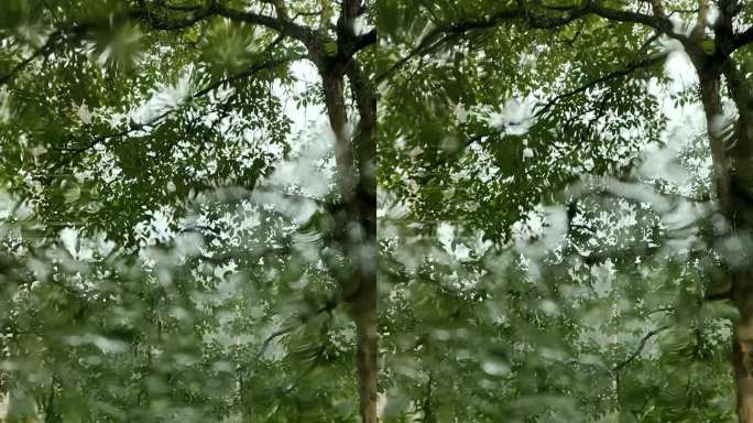 恶劣的天气雨刷下雨天下雨