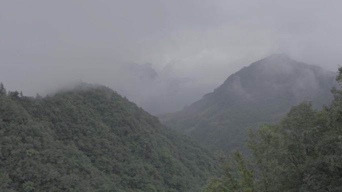 山林阴天水雾水汽缭绕 原始灰度素材