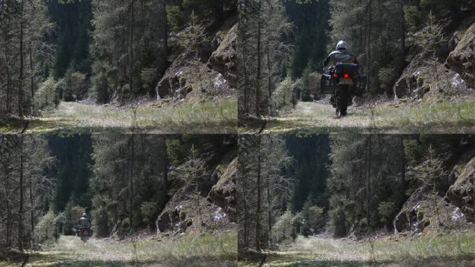 在穿过森林的越野道路上进行摩托车探险