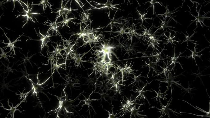 场中的神经元共享脉冲